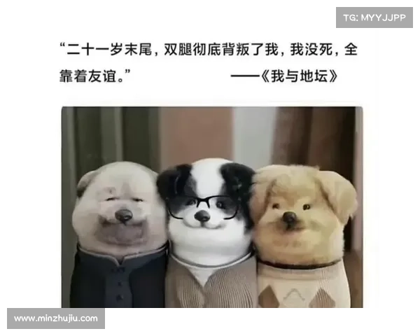 《猫鼠情深:为何它被视为友谊与和解的象征》 《猫鼠情深:为何它被视为友谊与和解的象征》
