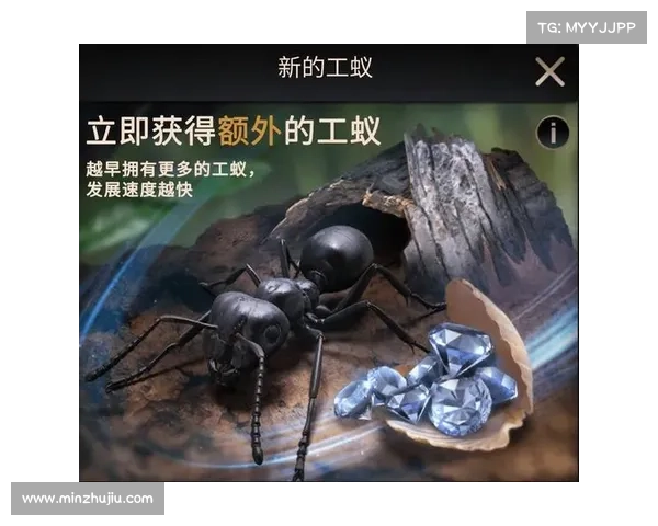 《全面解析策略新游核心玩法及关键胜利策略》 《全面解析策略新游核心玩法及关键胜利策略》