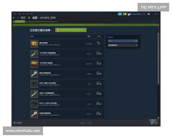 五大热门俄罗斯CSGO皮肤交易平台推荐盘点玩家必看选择指南 五大热门俄罗斯CSGO皮肤交易平台推荐盘点玩家必看选择指南