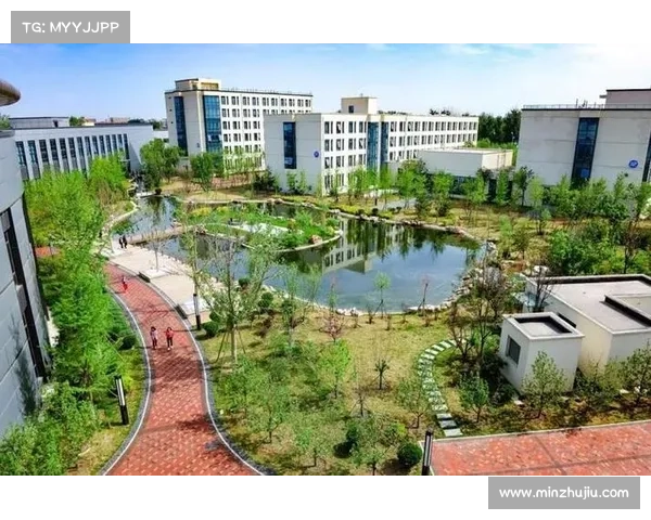 梦幻西游宝宝练级全面指南 助力提升宝宝实力的实用技巧与策略