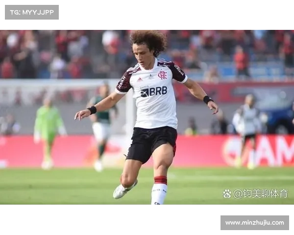 大卫路易斯落选真相揭秘 这背后隐藏着哪些不为人知的原因